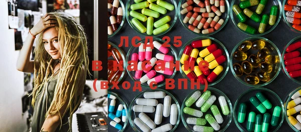 прущие грибы Приозерск