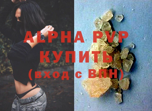 прущие грибы Приозерск