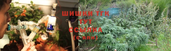 прущие грибы Приозерск